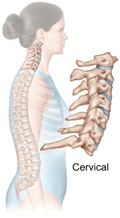 Cervical Stenosis Anatomy
